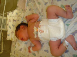 photo of Hibah Fatteh