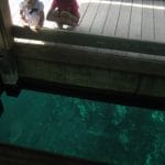 Hibah and Tania enjoying their visit