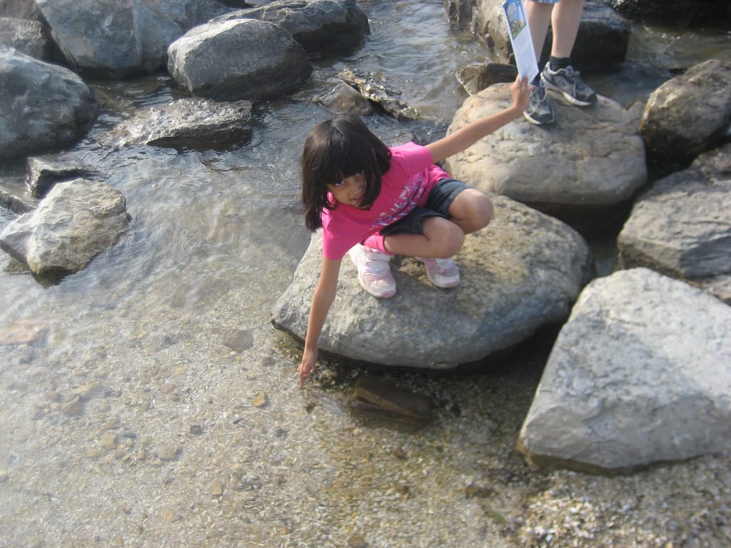 Atlanta Hawks Update June 20, 2013