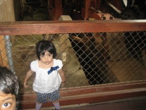 The-Upper-Peninsula-of-Michigan