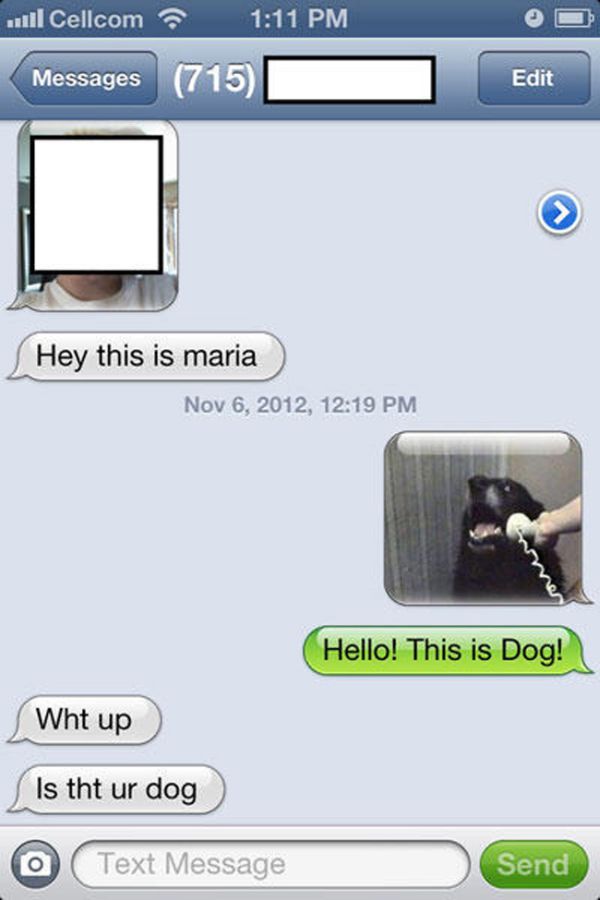 20-funniest-answers-wrong-number-text-11